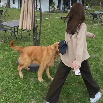 波兰真爱至上